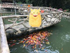 -都江堰玫瑰花溪谷