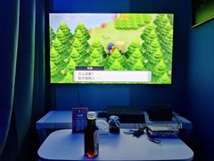-浣熊部落ps4 ps5 switch 电玩(茶店子店)
