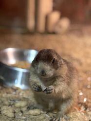 点击看大图 -酷嗒动物文化乐园(cutezoo西溪乐天城店)