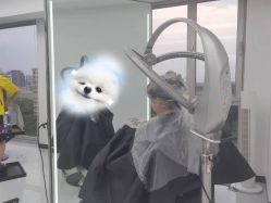 -熙.Hair 丨专注女子中长发丨