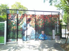 -印象莫奈时光映迹艺术展