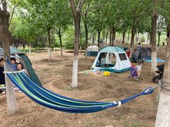 -永定河休闲森林公园