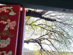 -张学良旧居陈列馆