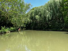 -同里国家湿地公园