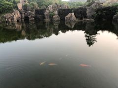 -白马涧龙池景区