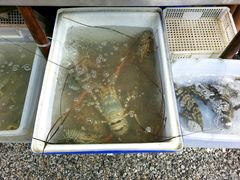 -拉威海鲜市场
