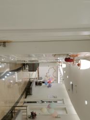 -伊丽莎白医疗美容