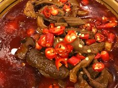 -曾牛肉