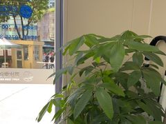 -芭比堂动物医院·24小时·眼科中心(深圳中心)