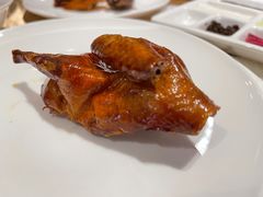 脆皮乳鸽-北京泰富酒店-柏景轩中餐厅