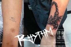 吉林市纹身 律动纹身 遮盖烟花 蝎子纹身-律动刺青