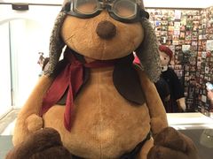 -济州岛泰迪熊博物馆