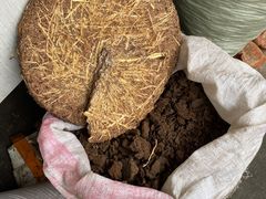 -白沙农贸综合市场