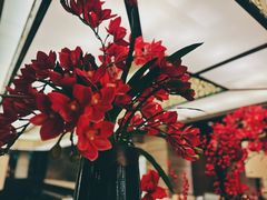 -北京王府井希尔顿酒店·秦唐中餐厅Chynna