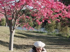 -风云岭森林公园