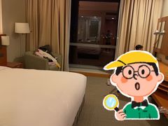 -上海浦东康桥绿地假日酒店