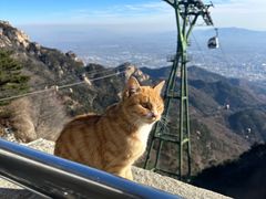 -泰山风景名胜区