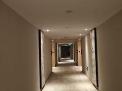 -河源万绿湖美思威尔顿酒店