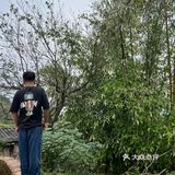 拥抱自然的一天