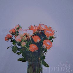 点击看大图 -谜秀韩式半永久纹眉纹绣洗眉