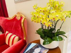 -尊尚柏丽美容SPA