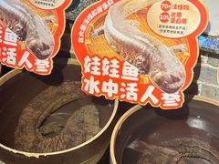 -印象鲵宴·张家界地标美食名片(溪布街店)
