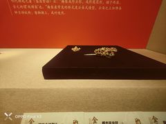 -长沙简牍博物馆