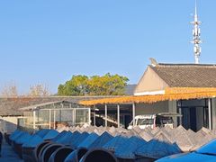 -苏州市吴中区光福窑上花果蜜饯厂