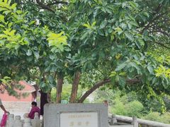 -潭柘寺景区