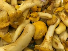 android_upload_pic-易门野生菌府·菌海森林(月牙潭公园店)