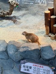 -Zoolung Zoolung动物主题公园(海信广场店)