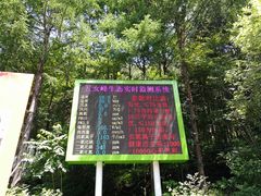 -五女峰国家森林公园