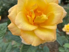 -人民公园(罗湖区)