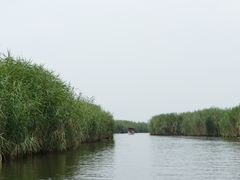 -白洋淀景区