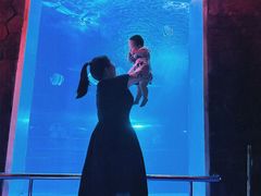 -太平洋海底世界