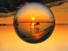 -宝安西湾红树林湿地公园