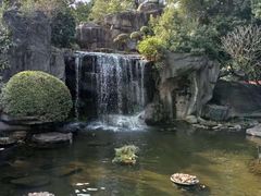 -荔枝公园(福田区)