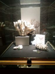 -北京七彩云南翡翠珠宝旗舰店(月坛店)