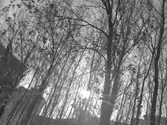 -长春市十一高中