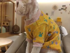 -猫腻·猫咖·撸猫馆(星光大道店)