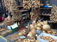 店铺-中环花鸟鱼虫市场