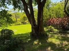 -天悦阁海景酒廊