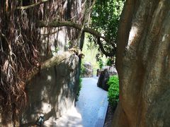 -金鸡山公园