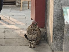 -正阳书局(西四南大街店)