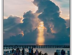 -宝安西湾红树林湿地公园