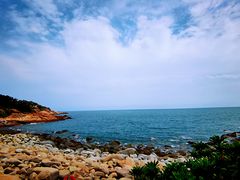 -广东惠东海龟国家级自然保护区