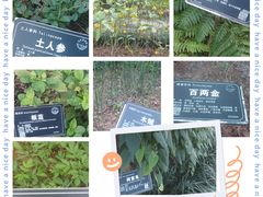 -东莞植物园