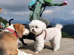 -白草畔自然风景区