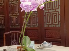 -山水茶艺馆·点心粤菜·30年老字号