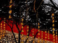 -大雁塔北广场音乐喷泉